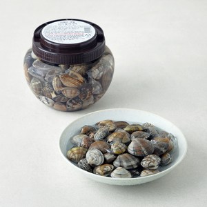 서해안 갯벌 단지 참 바지락, 1kg, 1개