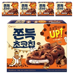 청우식품 쫀득초코칩, 240g, 5개