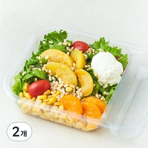 스윗밸런스 허니리코타치즈 후르츠 샐러드, 240g, 2개