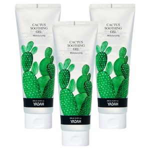 야다 선인장수딩젤, 250ml, 3개