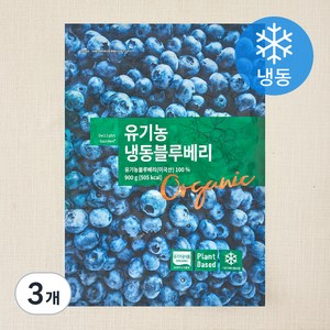딜라잇가든 유기가공식품 인증 블루베리 (냉동), 900g, 3개