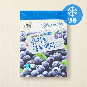 호재준 유기가공식품 인증 블루베리 (냉동), 500g, 1개