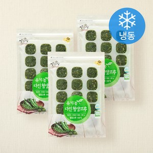 우리땅 웰팜넷 유기가공식품 인증 다진청양고추 (냉동), 180g, 3개