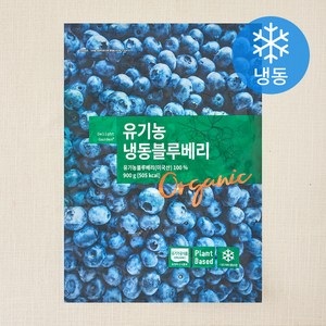 딜라잇가든 유기가공식품 인증 블루베리 (냉동), 900g, 1개