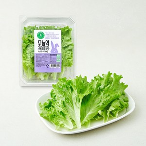 그린래빗 무농약 인증 카이피라, 100g, 1개