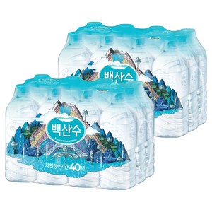 백산수 생수 무라벨, 1L, 24개
