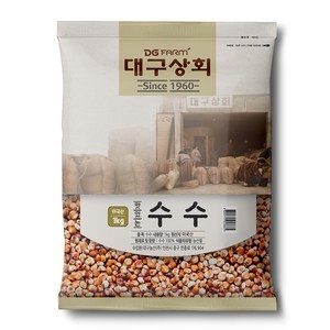 대구상회 맛있는 수수, 1kg, 1개