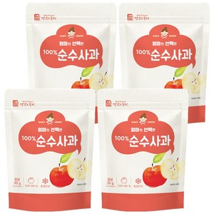 맛있는풍경 엄마가 선택한 순수사과, 30g, 4개