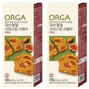 올가홀푸드 통밀 크리스피 크래커 무화과, 120g, 2개