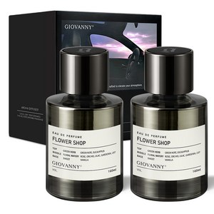 GIOVANNY 프리미엄 차량용 방향제 160ml 2p
