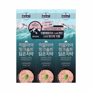 LG생활건강 히말라야 핑크솔트 담은 치약, 100g, 3개