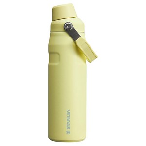 스탠리 아이스플로우 에어로라이트 패스트플로우 텀블러, 포멜로, 710ml, 1개