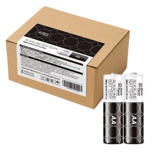 홈플래닛 알카라인 AA건전지, 48개입, 1개