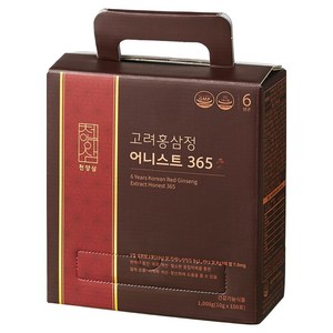 천양삼 6년근 고려홍삼정 어니스트 365 홍삼스틱 100포, 1kg, 1개