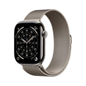 Apple 2025 애플워치 11