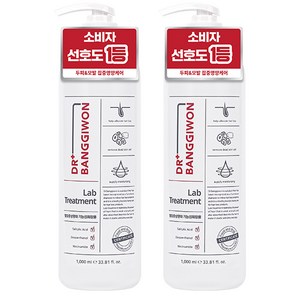 닥터방기원 랩 탈모 기능성 헤어트리트먼트, 1L, 2개
