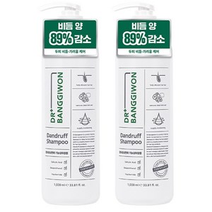닥터방기원 댄드러프 비듬케어 탈모샴푸, 1L, 2개