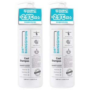 닥터방기원 쿨 샴푸 블루모히또향, 1L, 2개