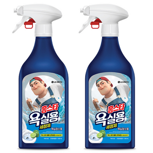 홈스타 맥스프레쉬 욕실청소용 세정제, 500ml, 2개