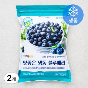 곰곰 칠레산 블루베리 (냉동), 1.5kg, 2개