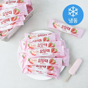 요맘때 바 딸기 (냉동)