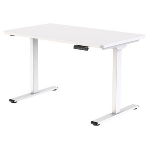 FlexiSpot 플랜티엠 PRO 듀얼모터 전동 모션데스크 방문설치