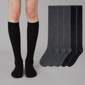 베이스알파에센셜 여성용 베이직 니삭스 5켤레 세트