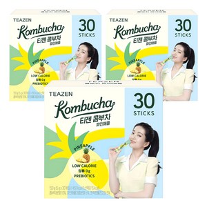 티젠 파인애플 콤부차