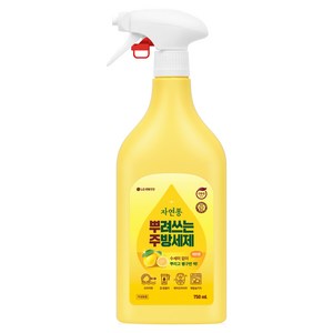 자연퐁 뿌려쓰는 주방세제 본품 레몬향, 750ml, 1개