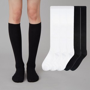 베이스알파에센셜 여성용 베이직 니삭스 5켤레 세트