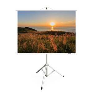 윤씨네 스크린 심플 족자스크린 화이트 삼각대포함 4:3 1000 x 730 mm