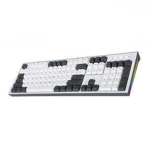 COX 이색사출 사이드 RGB 기계식 유선 일반형 키보드, 그레이 + 화이트, CK01PBT, 청축