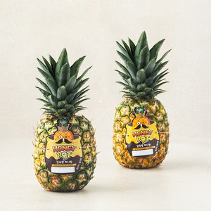 스미후루 감숙왕 허니팟 파인애플 2입