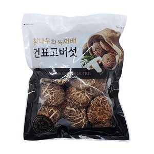 버섯꽃필때 건표고버섯동고, 100g, 1개