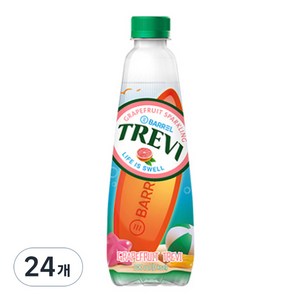 트레비 자몽 탄산음료, 500ml, 24개