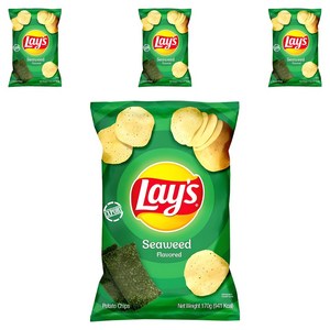 레이즈 씨위드 감자칩, 170g, 4개