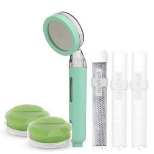 듀벨 와이즈 아이 비타민 샤워기 + 솔잎향 필터 2p + 세디먼트 필터 2p + 카본 필터 세트, 민트, 1세트