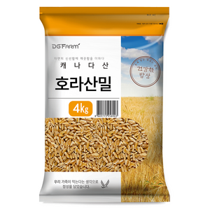 건강한밥상 호라산밀, 4kg, 1개