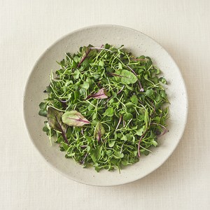 친환경 어린잎 채소, 500g, 1개