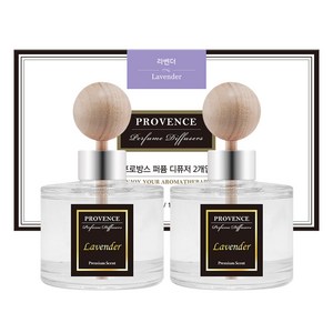 더허브샵 프로방스 퍼퓸 차량용 디퓨저 120ml, 라벤더, 2개