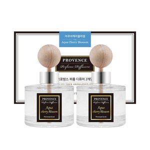 더허브샵 프로방스 퍼퓸 차량용 디퓨저 120ml, 아쿠아체리블라썸, 2개