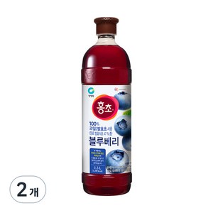 홍초 블루베리, 1.5L, 2개