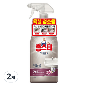 홈스타 바이럭스 세정제 욕실용, 750ml, 2개