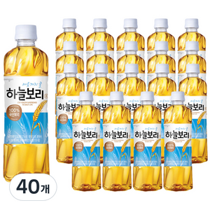 웅진 하늘보리, 500ml, 40개