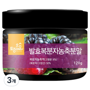 토종마을 발효복분자농축분말 국산 고창산, 120g, 3개