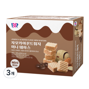 배스킨라빈스 자모카아몬드훠지 미니 웨하스, 3개, 100g