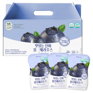 유기농마루 맛있는 진짜 블루베리주스, 100ml, 20개