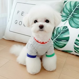 쁘띠도그 멀티줄가라티 DT038, 화이트, XL, 1개