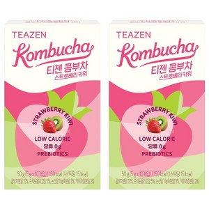 티젠 콤부차 스트로베리키위