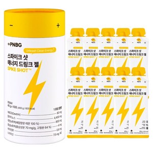 풍년보감 스파이크 샷 에너지젤 10p, 400g, 1개